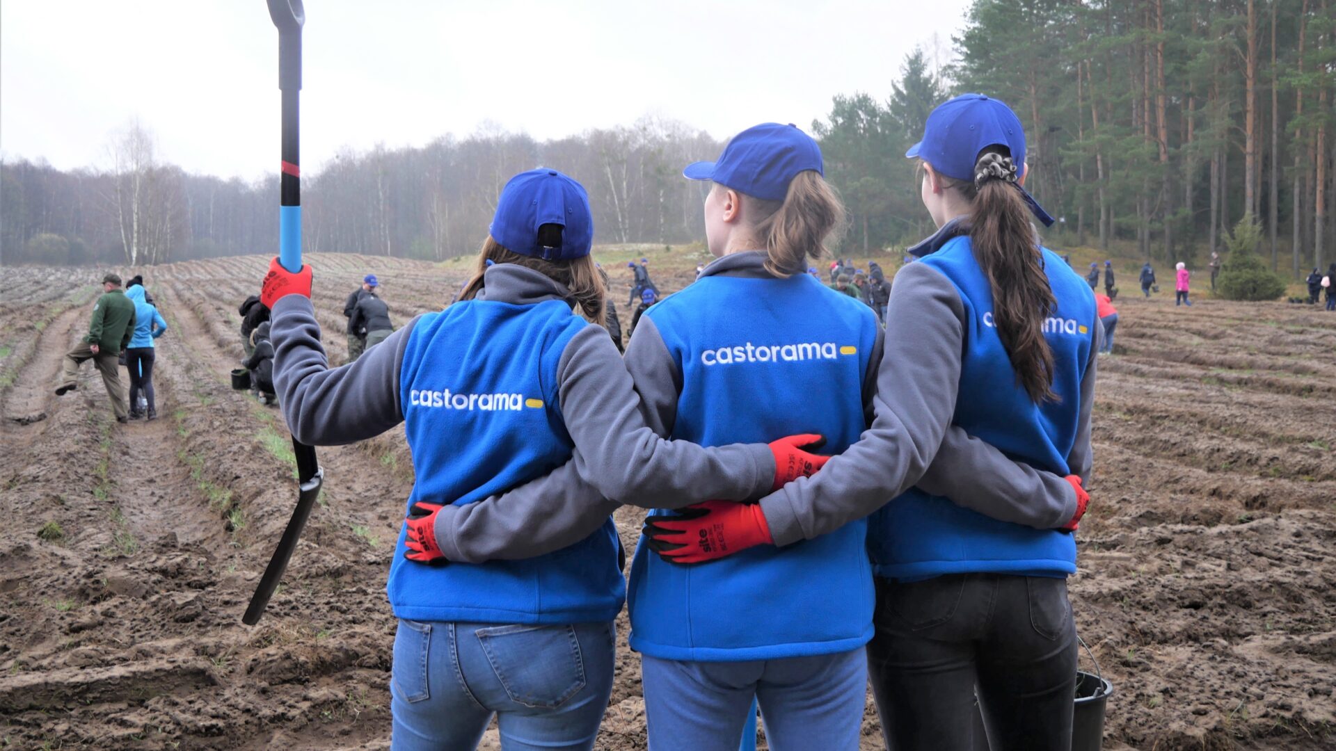 7 tysięcy drzew posadzili wolontariusze Castoramy