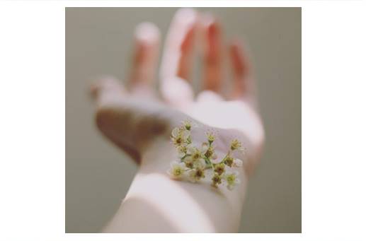 kwiat na ręce kobiety