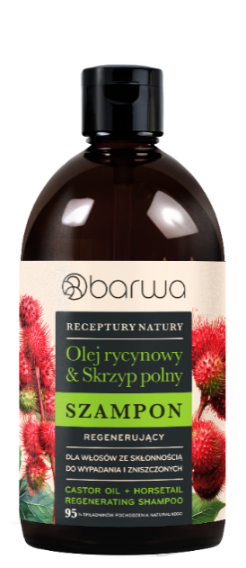 RECEPTURY NATURY Szampon i odżywka OLEJ RYCYNOWY + SKRZYP POLNY, 12,49 zł/380 ml